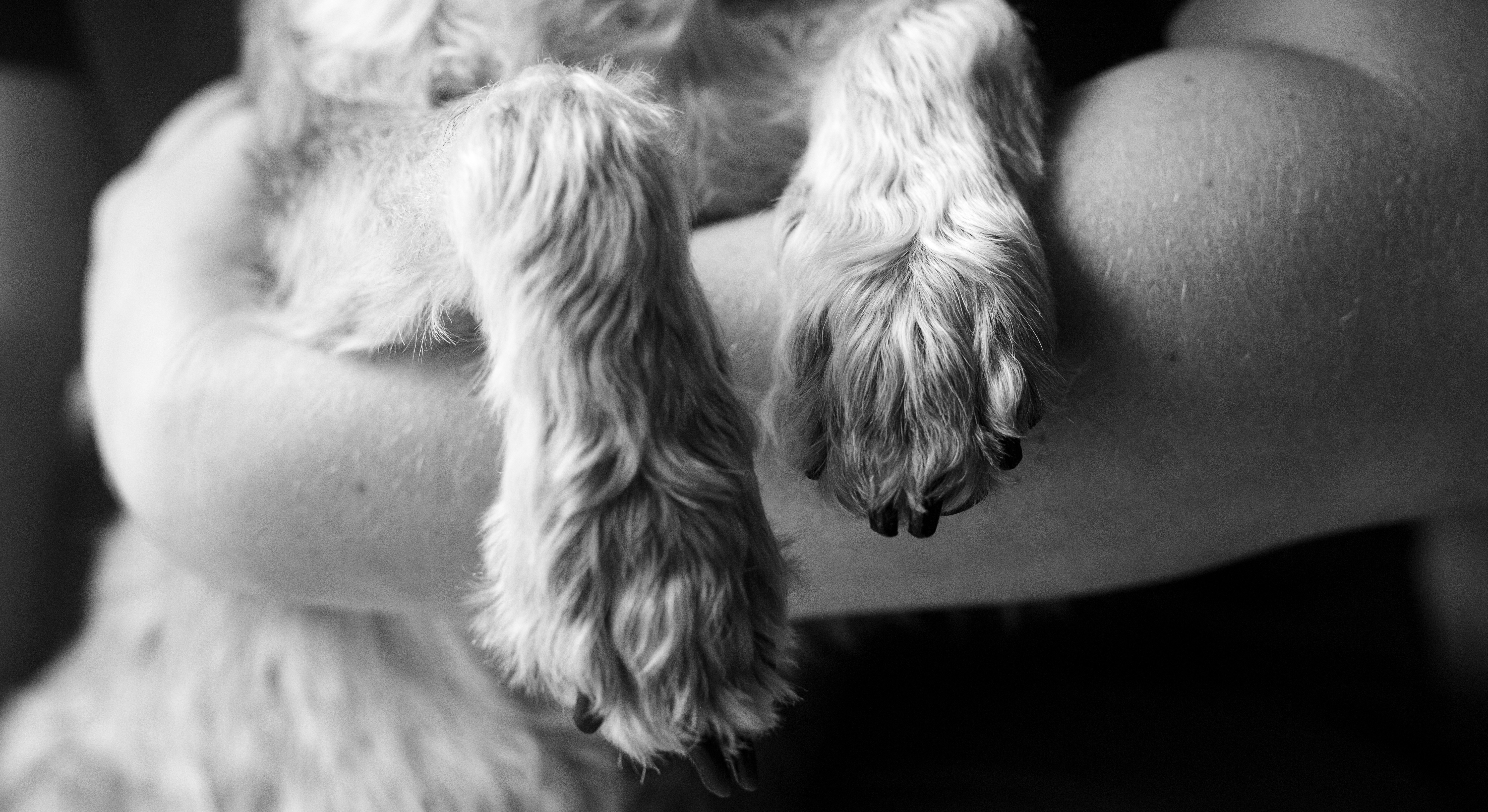 Aftercare