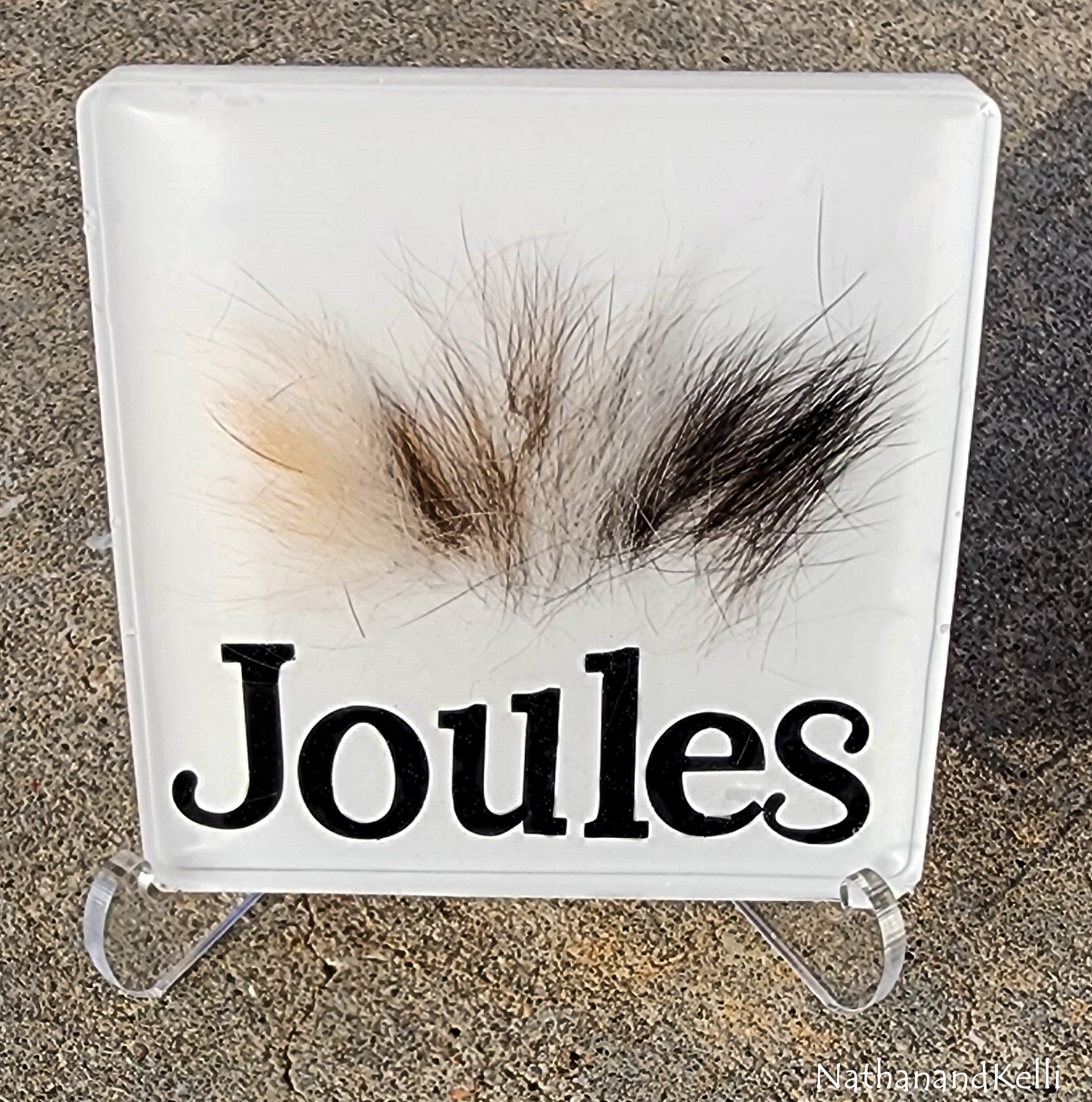 Fur in Resin Square