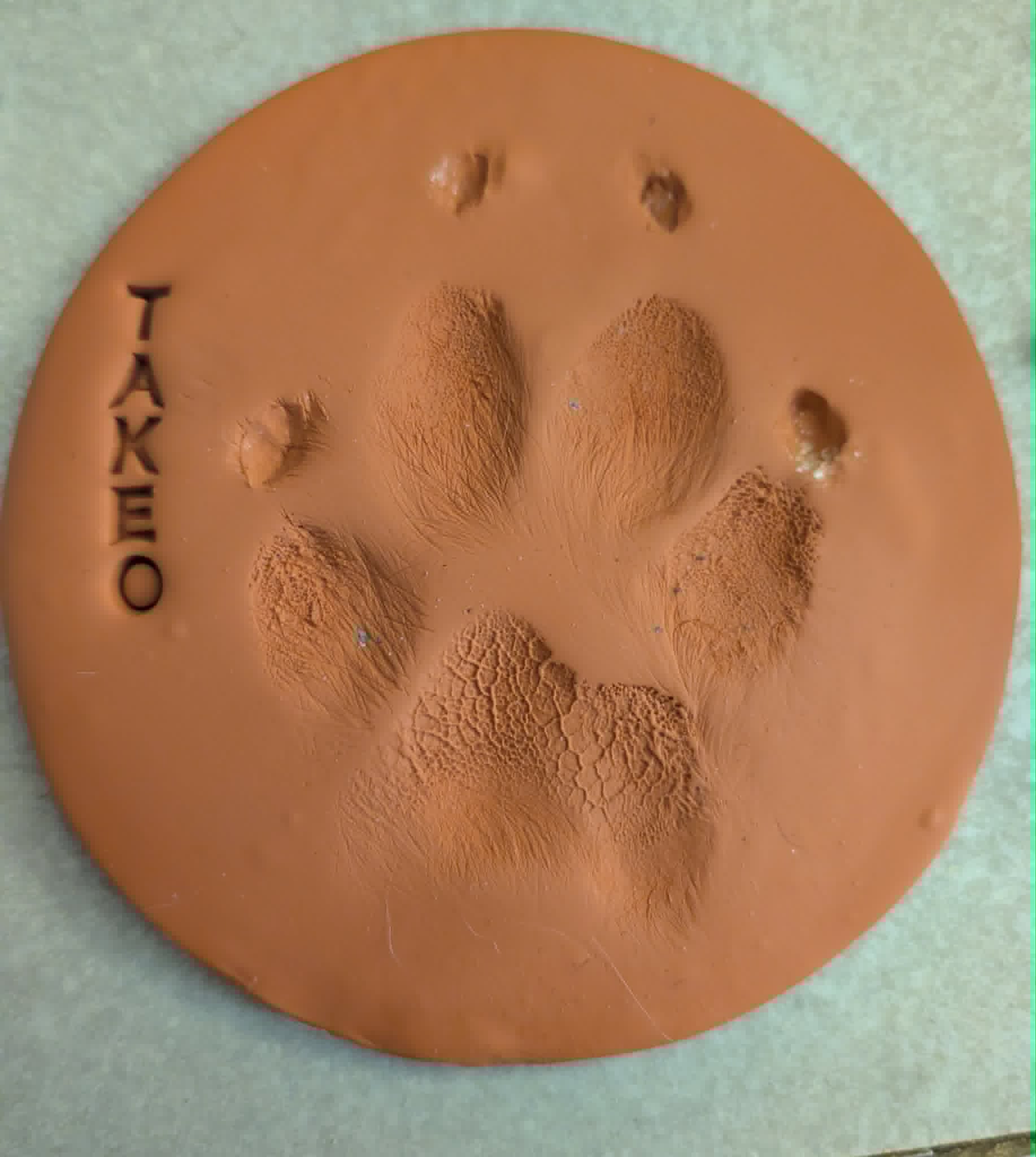 Oval Clay